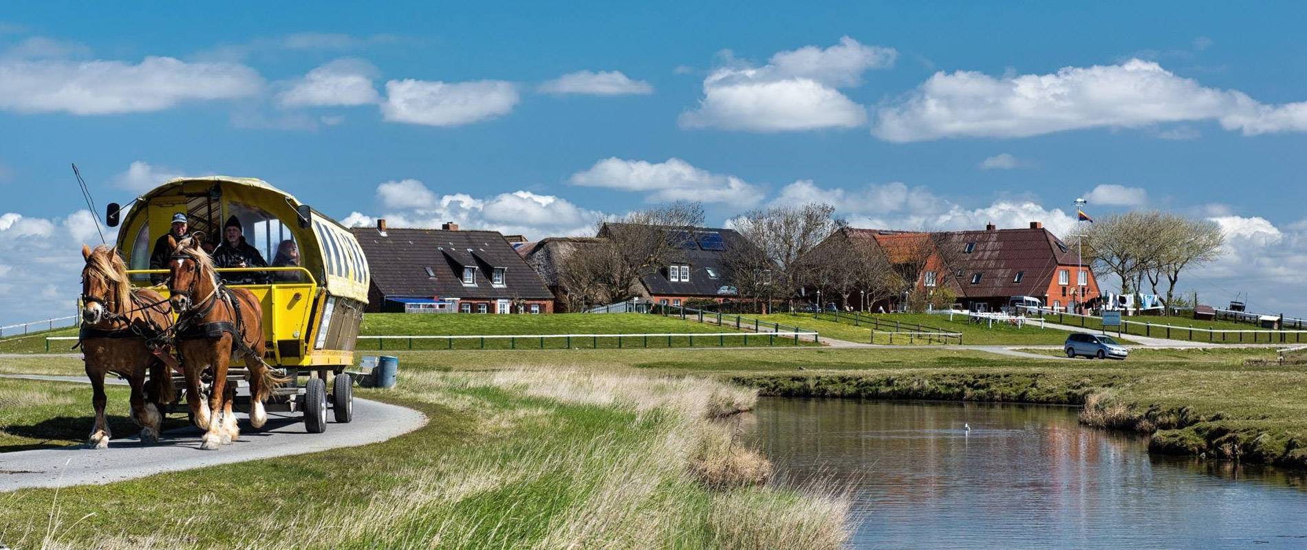 Weite Nordseelandschaft mit Dünen und reetgedeckten Häusern